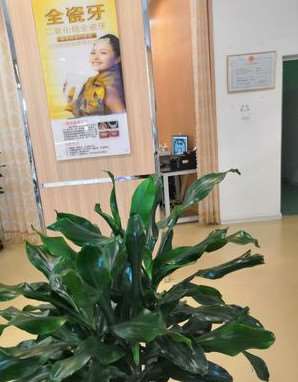 滨州种植牙价格在线公布(2024滨州种植牙参考价为：18396元)