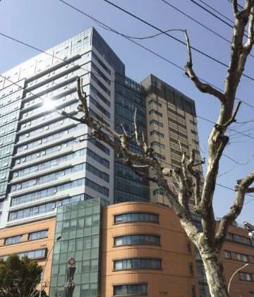 上海第六人民医院眼部整形收费价格表，眼睑矫正：2164\眼袋失败修复：232起