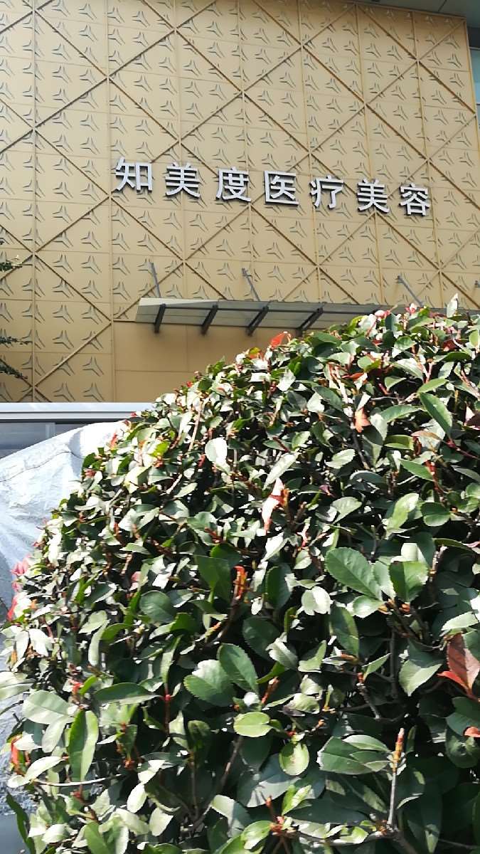 成都安莎贝拉眼部整形收费价目表，重睑术：533\眼修复：3675起
