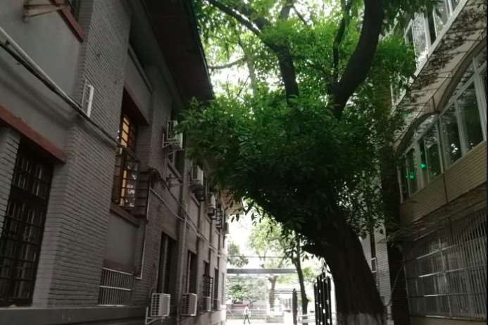 成都面部轮廓收费价目表，下颌：2975\下巴修复：895起