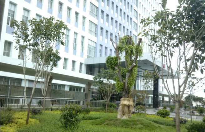 大理白族自治州人民医院鼻部整形收费价格表，延长鼻小柱：3391\肥厚鼻尖鼻翼矫正术：2324起