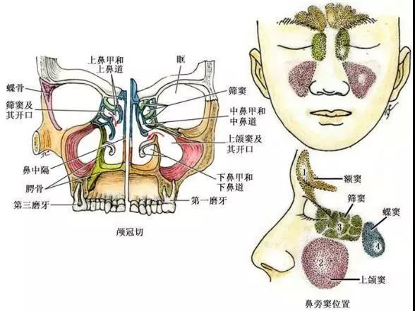 长春中妍美容医院医生团队介绍:专家详情、2025年吸脂案例及术后效果追踪