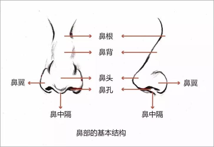 杭州艺星医疗美容医院(城西店)怎么样,内附医院信息+案例分享
