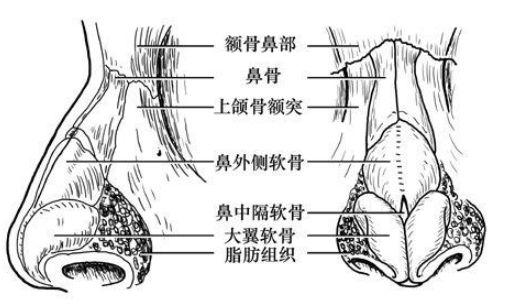 重庆星荣整形外科医院鼻部整形哪个医生技术好？这4位口碑医生详细介绍