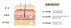 2026重庆地区口腔医院玻