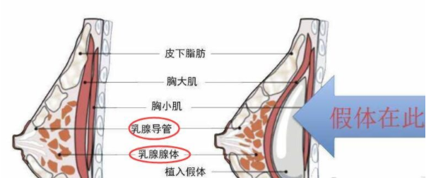 赣州东方薇琳医疗美容医院怎么样?整形医生实力出众