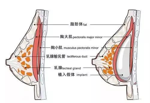 黑龙江超龙医疗美容医院电话多少？看医院简介内容，真实案例来袭