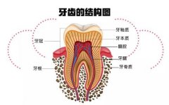 2026东莞牙齿种植价格明