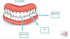 重庆牙齿种植价格表20