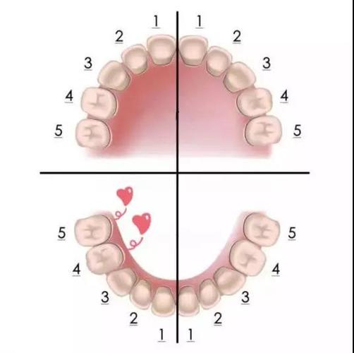 贵阳柏乐口腔是黑店吗？服务周到还是过度推销-真实情况分析