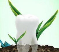 包头牙齿种植价格2026年