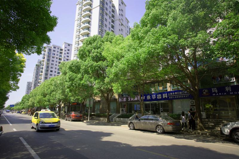 上海徐汇区种植牙价格表：一颗3500丨半口4万丨全口8万起
